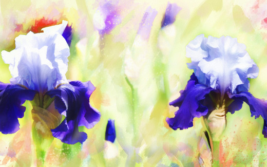 1183047 (a): :2880x1800